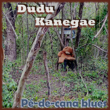 Pé-de-Cana Blues (4 canais)