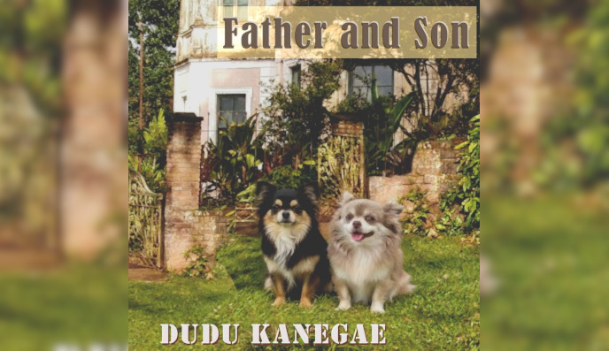 Capa do single Father and Son