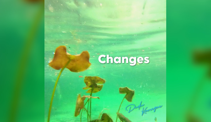 Capa do single Changes
